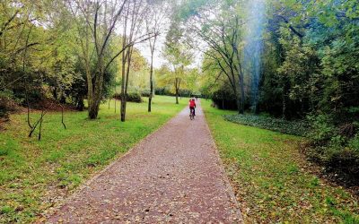 Pla de l’Estany Half Marathon: A Sporting Challenge in a Natural Setting